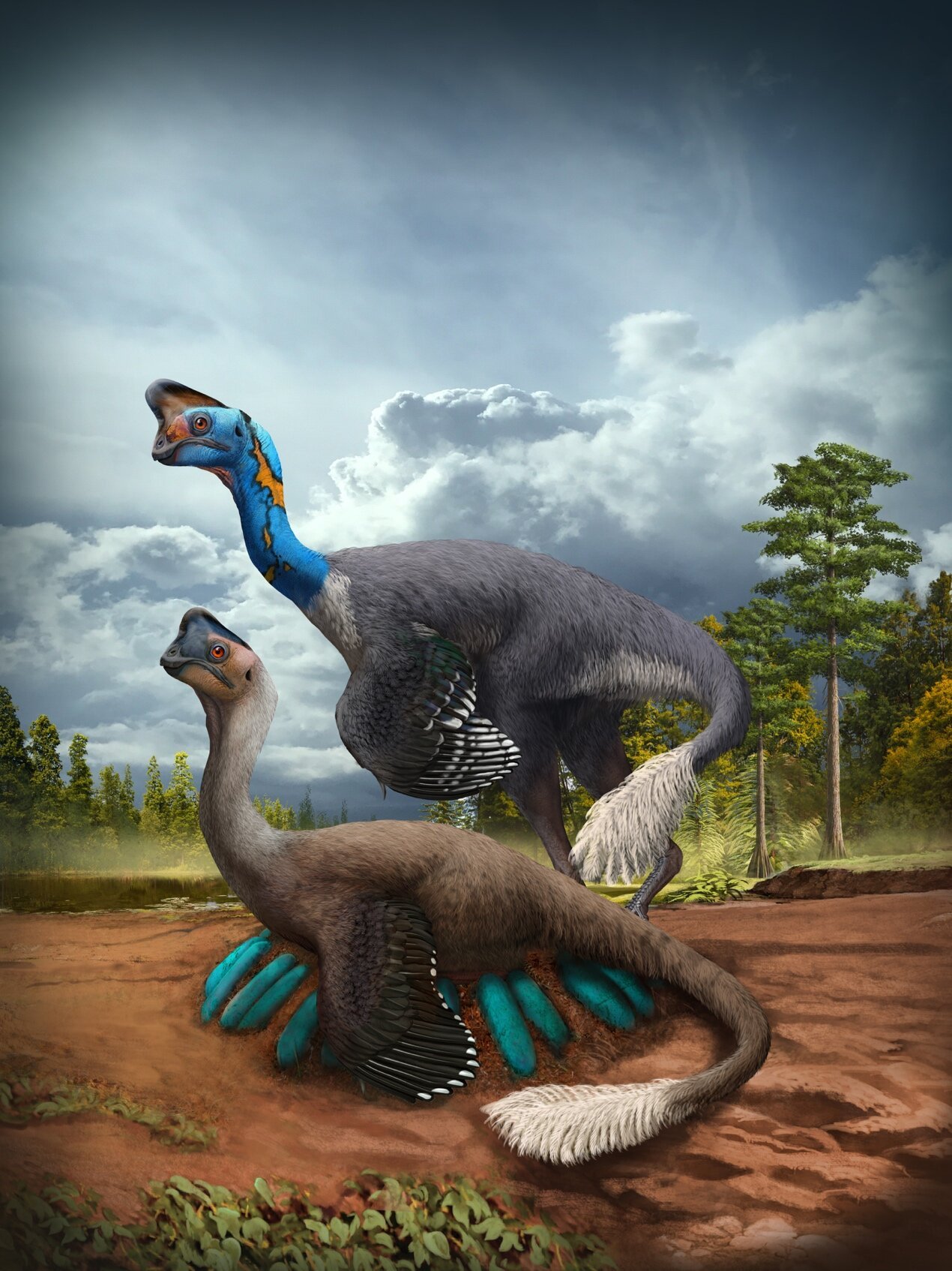 Pourquoi Les Dinosaures Sont Morts Chine : découverte exceptionnelle d'un fossile de dinosaure, mort en